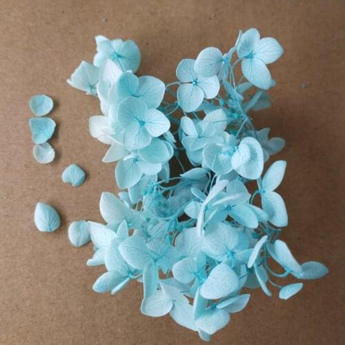 3g DIY material Package Handmade Dry Flowers Hydrangea Home Decoration Accessories Christmas Garland Party Supplies