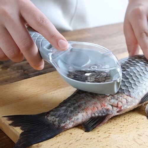 Dozzlor Instruments For Seafood