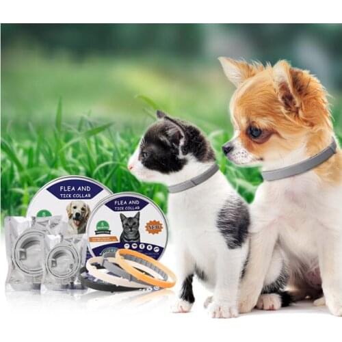 Good Anti Flea Ticks Insect Mosquitoes 8 Months Protection Waterproof Long Lasting Dog Collar Custom Puppy Cat Pet Collars