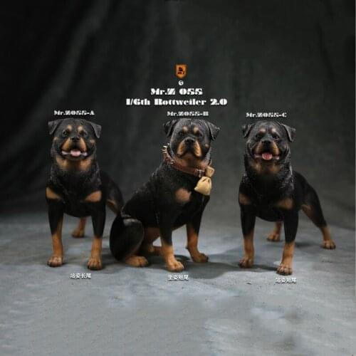 MRZ055 1/6 Figure Scene Accessories Rottweiler Model MOS Pet Dog Statue Scene Props Accessories Model for 12'' Body