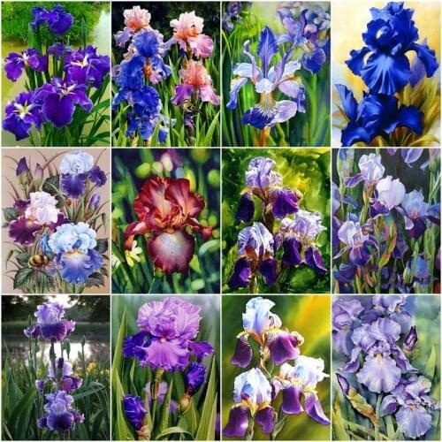 CHENISTORY Paint By Numbers Purple Flowers For Adult Home Canvas Painting Coloring By Numbers Fleur-De-Lis Wall Art Home Decor