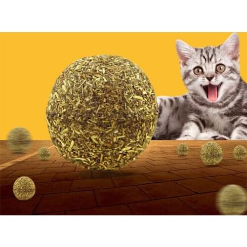 Pet Catnip Ball Toys Edible Cat Snack Safety Healthy Cat Mint Cats Chasing Game Toy Clean Teeth Protect Stomach Promote Appetite