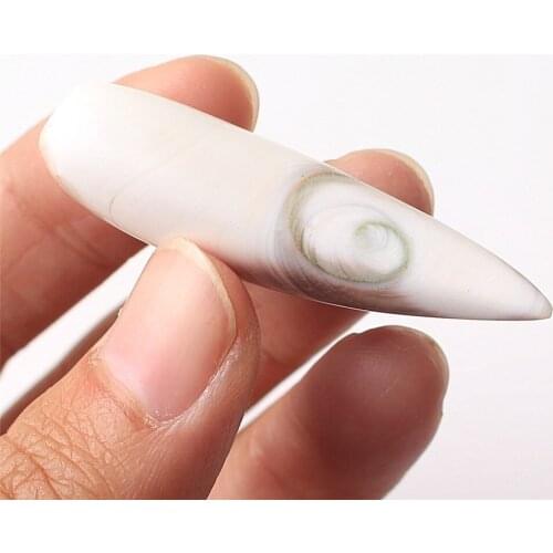 Natural White Sun Shell Stone Animal Tooth Shape Pendant Points Sticks Necklace Hand Making From Madagascar