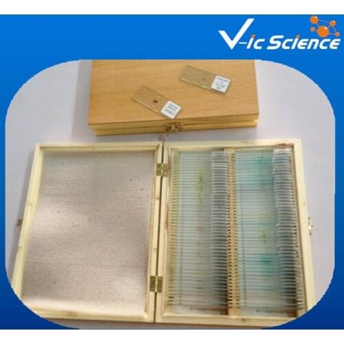 High Quantity Histology Microscope Prepared Slides Set With 181pcs