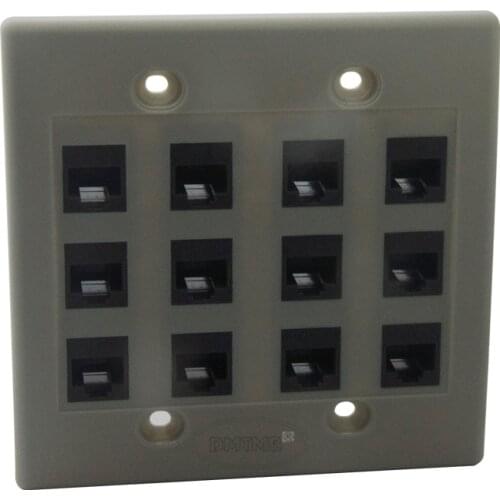Light Gray Color 2 Gang face plate 12 Ports CAT6 rj45 female to female wall plate network wall plate support customer design