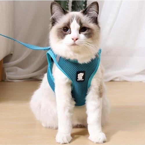 Cat Harness and Leash set Pet Adjustable Vest Walking Lead for Puppy Breathable Mesh Harness for Small Medium Dog