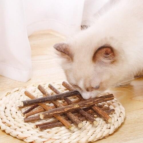 Игрушки для кошек Tsbrtfeo China At AliExpress