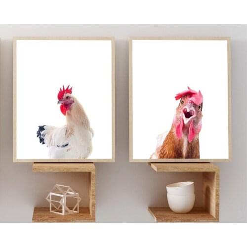 Chicken Modern Photography Poster Poultry Animal Print Kitchen Farmhouse Decor Nursery Wall Art Canvas Painting Chicken Picture
