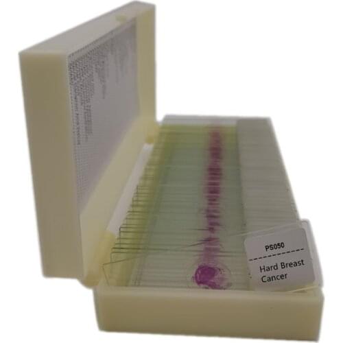 50pcs Human Pathology Microscope Prepared Slides