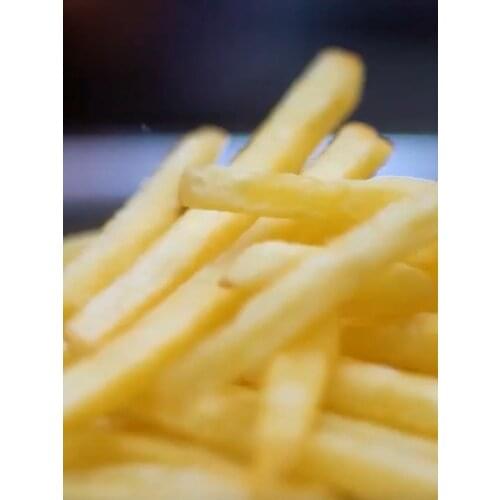 Double Basket Deep Fryer Electric Commercial Fryers