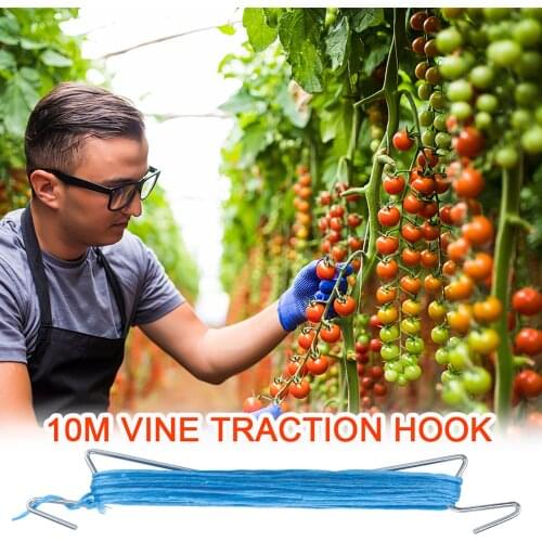 Garden Hooks Climbing Support 1PC Galvanized Steel Wire Portable Nylon Rope 10M For Vegetable Fruit Tomatoes Vines