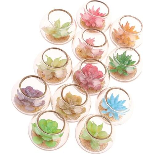 1:12 Dollhouse Miniature Glass Jar Succulent Plants In Pot Furniture Home Decor Micro Landscape Ornaments