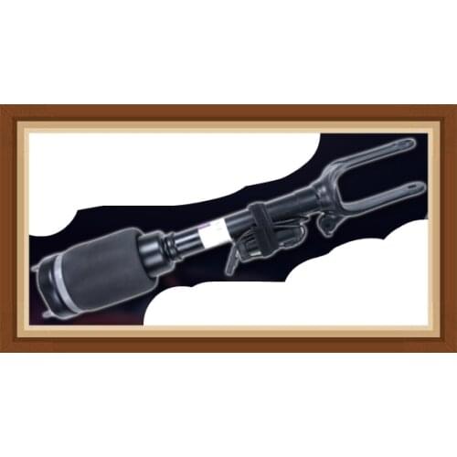 Front Shock Absorber Air Suspension For Mercedes Benz GL X164 / X166 & ML Class W164 With ADS 1643205813 1643205213