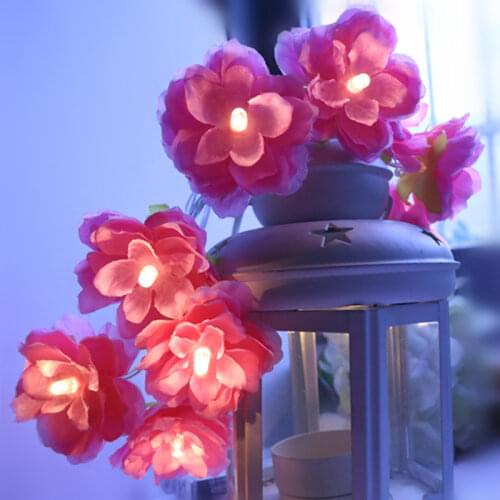 PheiLa LED String Lights