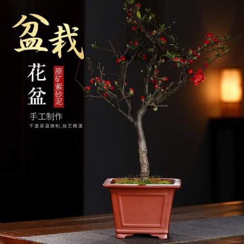 Zisha Flowerpot Square Biscuits Pots Succulent Green Plants Bonsai Old Pile Asparagus Calamus Creative Retro Pot