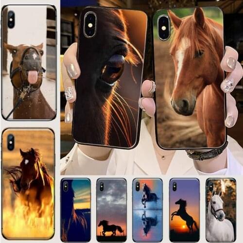 Frederik The Great beauty horse Phone Case for iPhone 11 12 mini pro XS MAX 8 7 6 6S Plus X 5S SE 2020 XR