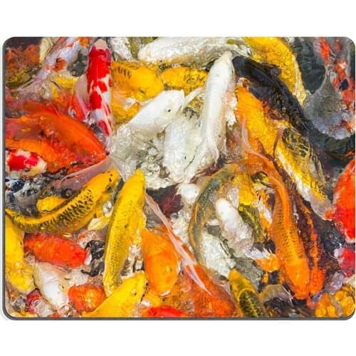 Y011 Natural Rubber Gaming mouse pad mouse mat Koi fish swimming aggressively at pond PM011091