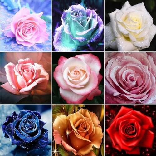 AZQSD Diamond Embroidery Rose Mosaic Rhinestones 5D Diamond Art Painting Flower Cross Stitch Handmade Home Decoration Gift