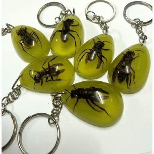 10 pcs Bee Insect Color KeyChain Taxidermy Display