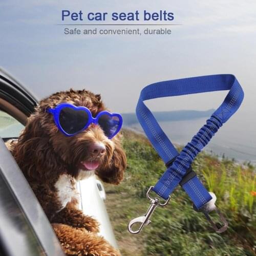 Studyset Dog Harness