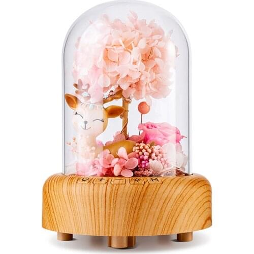 Colorful Mood Light Wishing Bottle with Preserved Rose in Glass Dome -Bluetooth-compatible Music Play Night Light Gifts for Girl