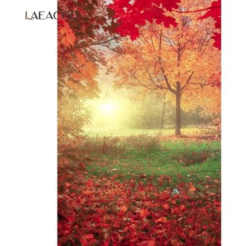 Laeacco Autumn Fallen Yellow Leaves Trees Photocall Real Scene Backdrops Photographic Backgrounds Baby Portrait Photo Studio
