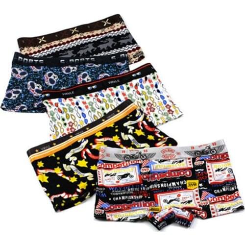 2pcs Women Iced Silk Boyshort Summer Tomboy Mid-waisted Cartoon Print Boxers Shorts Panties Les Lesbian Underpants Underwear