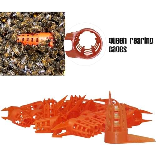 Bee Queen Push-in Protector Rearing Cap Protective Cell Cover Beekeeping Tools Goods For Beekeeper Supplies