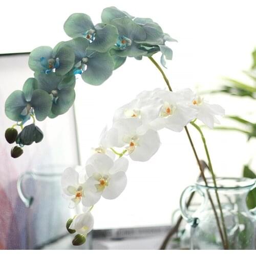 1Pc Real Touch Latex Artificial Moth Orchid Butterfly Orchid Flower for Home Wedding Festival Decoration