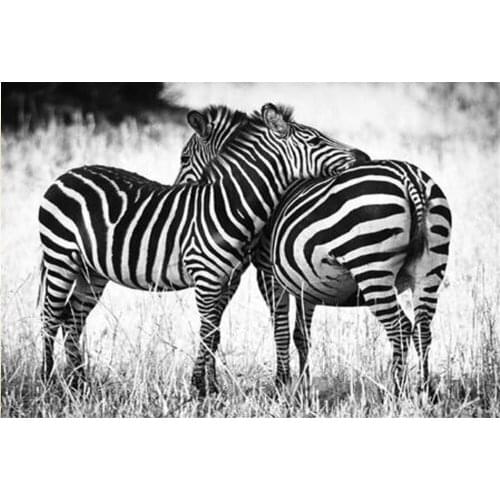 Full Square/Round 5D DIY Diamond Painting "Animal zebra friend"pictures of Rhinestones Diamond embroidery wall decoration FG1765