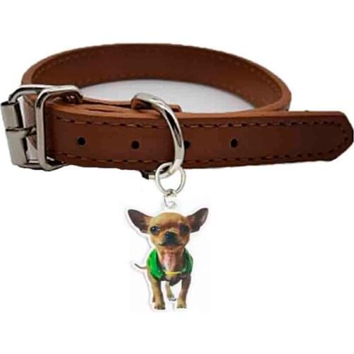 PU Leather Dog Pet Collar With Chihuahua Pendant Safety Adjustable Straps Puppy Necklaces Collars Supplies 8 Color Fashion