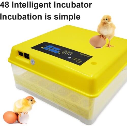Egg Incubator Automatic Hatchery Poultry Household Equipment Incubator For Chicken Birds Tube Roller Eggs Incubator Brooder