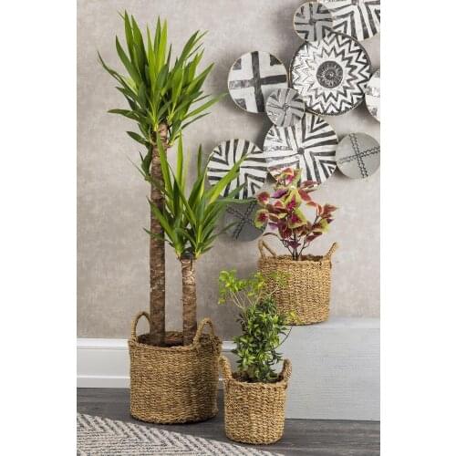 Doreline Flower Pots