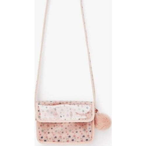 J-Bg Pink Women's Transparent Bags