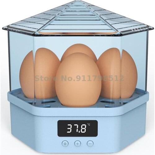 Small Home Incubator Automatic Intelligent Mini Incubator Chick Bird Egg Child Incubator Machine 1 Small