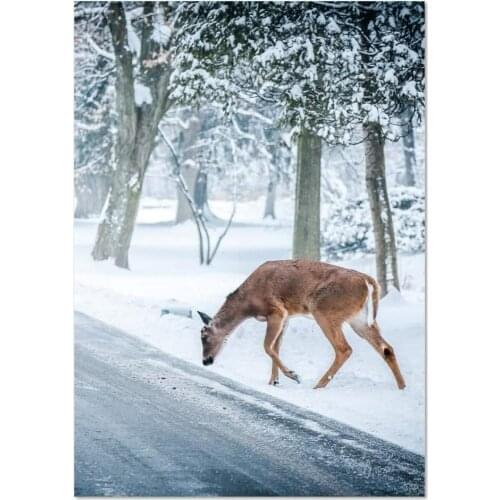 Deer Near Snowy Road Novelty Metal Sign Home Thanksgiving Wall Decoration Man Cave 8X12 inch