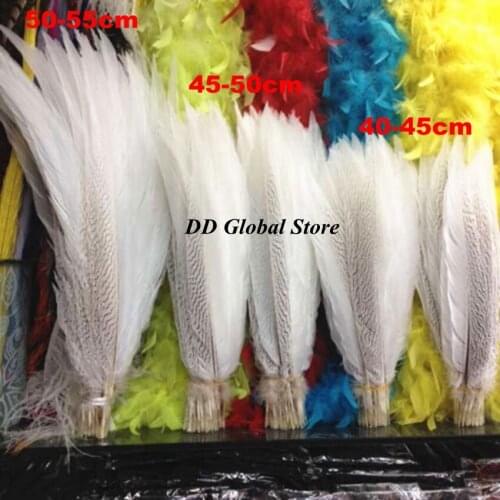 Natural Silver Pheasant Tail Feathers White Pheasant Feathers For Crafts Wedding Costume silver chicken feathers Plumes 30-80cm