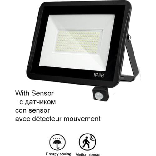 220V 10-100W LED FloodLight Reflector Spotlight outdoor Exterior Street wall Light Infrared & Wireless Outdoor IP65 Waterproof S