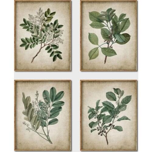 Green Plant Canvas Painting Wall Art Prints Retro Poster Vintage Leaves Print Botanical Art Decor Wall Picture Home Decoration