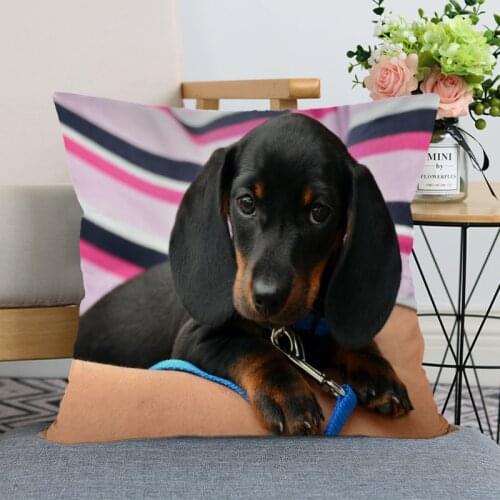 New Arrival Dachshund Dog Pillowcase Wedding Decorative Pillow Cover Custom Gift For (one Sides) Printed Pillow Cases