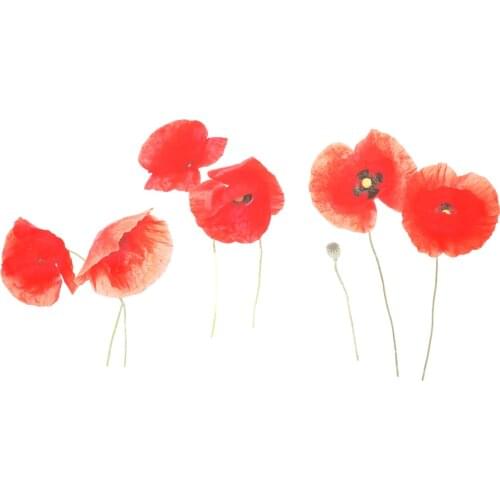 1 Sheet Poppy Flower Wall Sticker Self-Adhesive Wall Decal Wall Art Decoration Home Room Decal