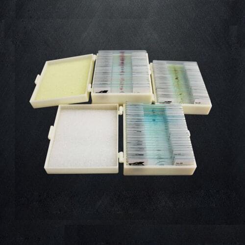 75 PCS Professional Medical Study Prepared Plants Animals Insects Specimen Scetion Slice Microscope Slides