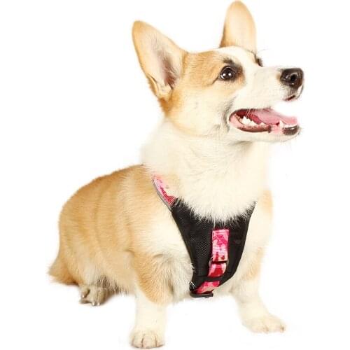 2020 New Traction Rope Dog Breast Straps Small and Medium-sized Dog Accessories Camouflage Sports Nylon Dog Collar