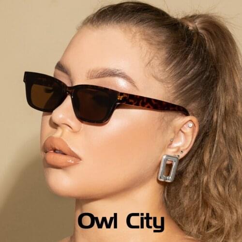 Owl City Womens Cat Eye Sunglasses