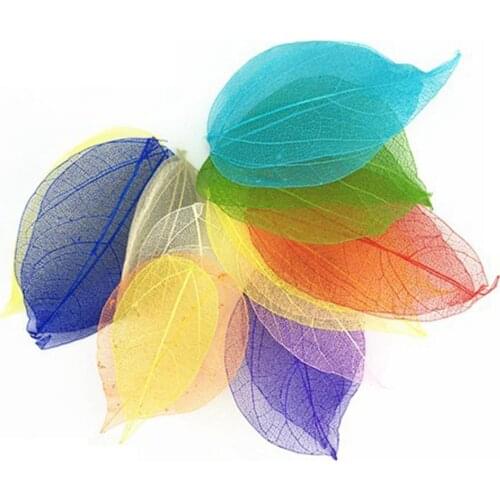10 Pcs Natural Dried Vein Leaves Nail Art Flowers Material DIY Craft Supplies Bookmarks Handmade Decoration Accessories