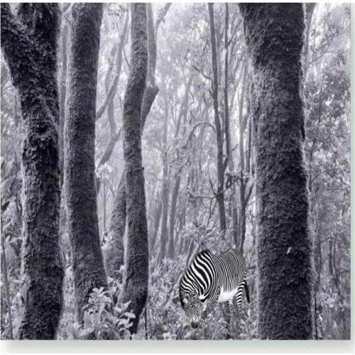 Beautiful scenery wallpapers Vintage black and white landscape big tree 3d wallpapers mural background wall