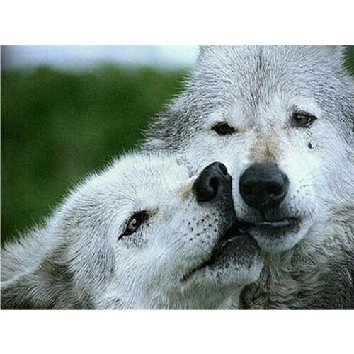 New 3D DIY Diamond Painting The wolf Wild Unite Mosaic Embroidery Canvas wall sticker Handcraft fabric Home decor gift A5765R