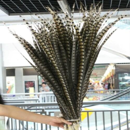 Wholesale 50pcs 50-55cm/20-22inches Natural Lady Amherst Pheasant Tail Feathers Carnival Costume Party Decor