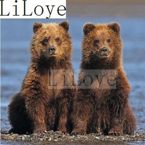 LI LOYE Brown bear Diamond Embroidery Icon Full 5D Round Diamond Painting Cross Stitch Rhinestones Home Decor DIY Painting R1114