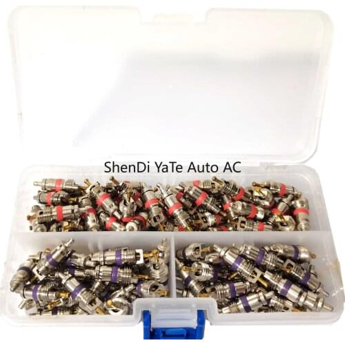 100pcs Schrader Valve Core For Auto A/C Lexus Ford BMW Benz Volvo Kia Peugeot Renault Buick Chevrolet Land Rover Volkswagen
